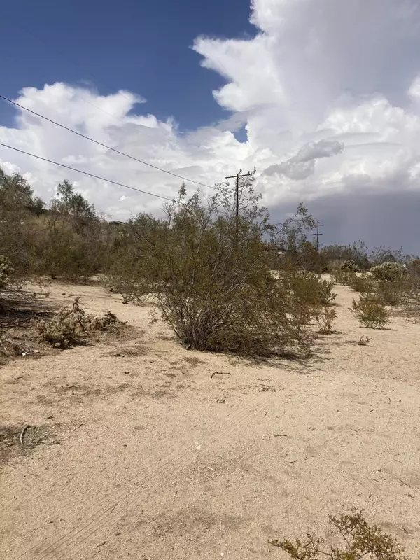 Morongo Valley, CA 92256,0 Big Morongo CYN