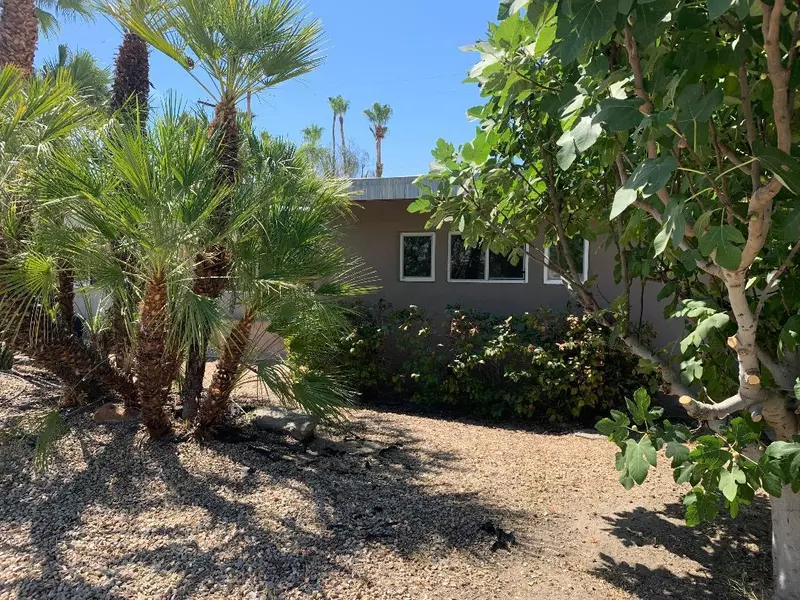 1353 E San Lucas RD, Palm Springs, CA 92264