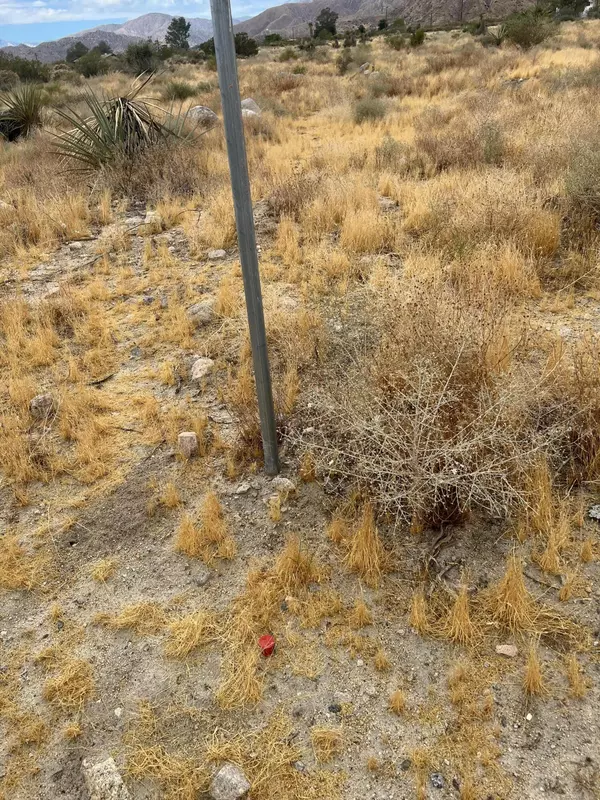 Morongo Valley, CA 92256,8818 Rose Eden DR