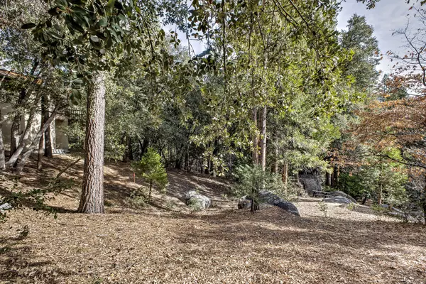 156 Pine Crest AVE, Idyllwild, CA 92549