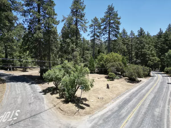 Idyllwild, CA 92549,27010 Saunders Meadow RD