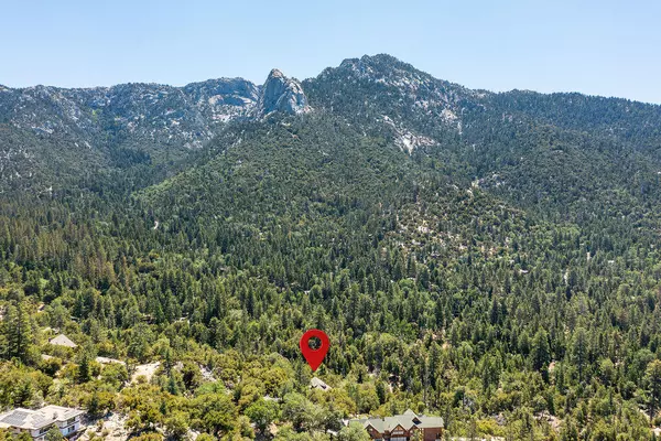 Idyllwild, CA 92549,54950 Forest Haven DR