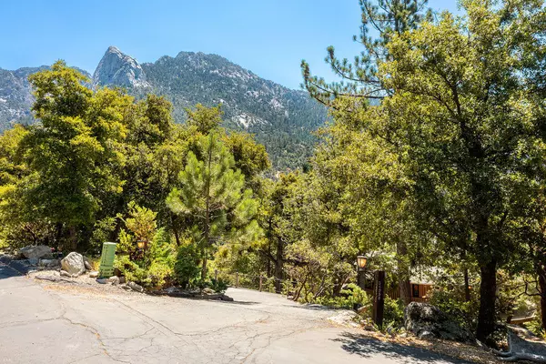 Idyllwild, CA 92549,54950 Forest Haven DR