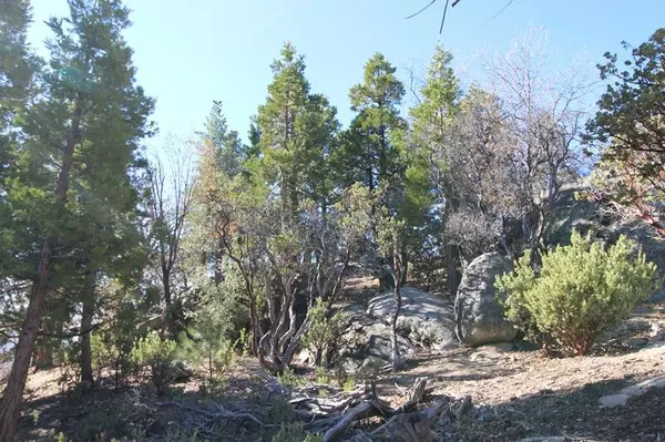 Idyllwild, CA 92549,0 Gibbs-Gully