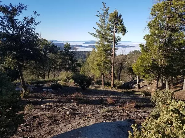 Idyllwild, CA 92549,0 Gibbs-Gully