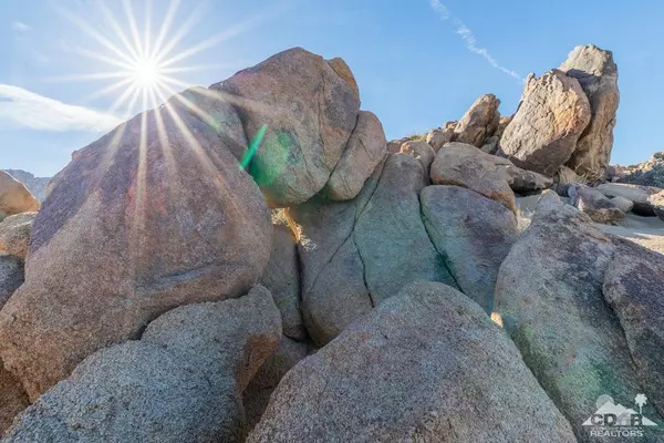 Joshua Tree, CA 92252,19 Twentynine Palms Highway