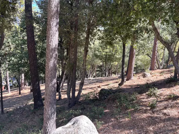 Idyllwild, CA 92549,0 Wildwood DR