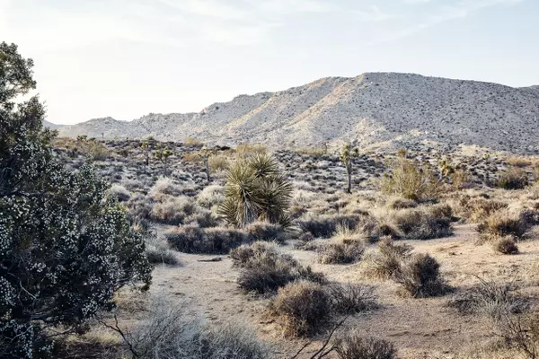 Pioneertown, CA 92268,0 Gilhouse LN