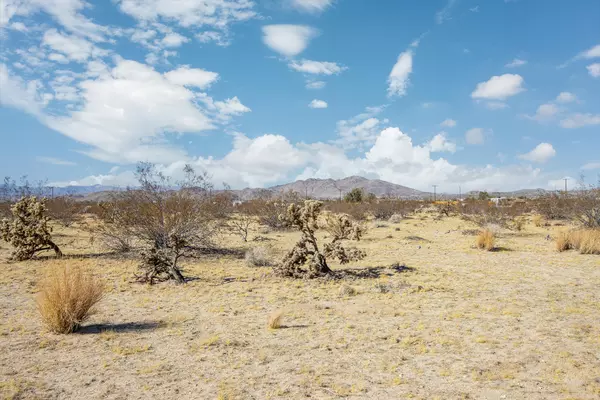 Joshua Tree, CA 92252,124 California AVE