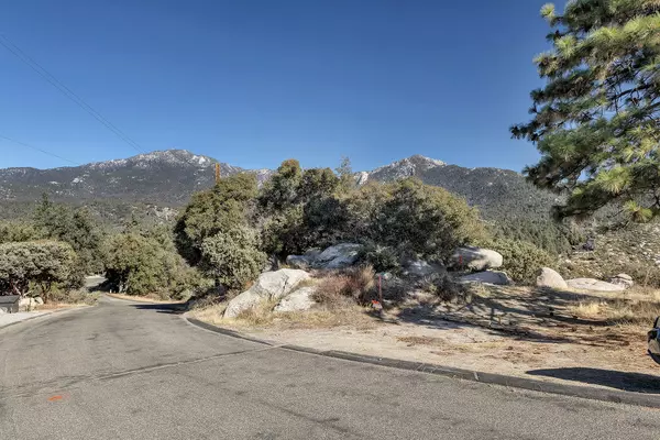 Idyllwild, CA 92549,0 Doubleview DR