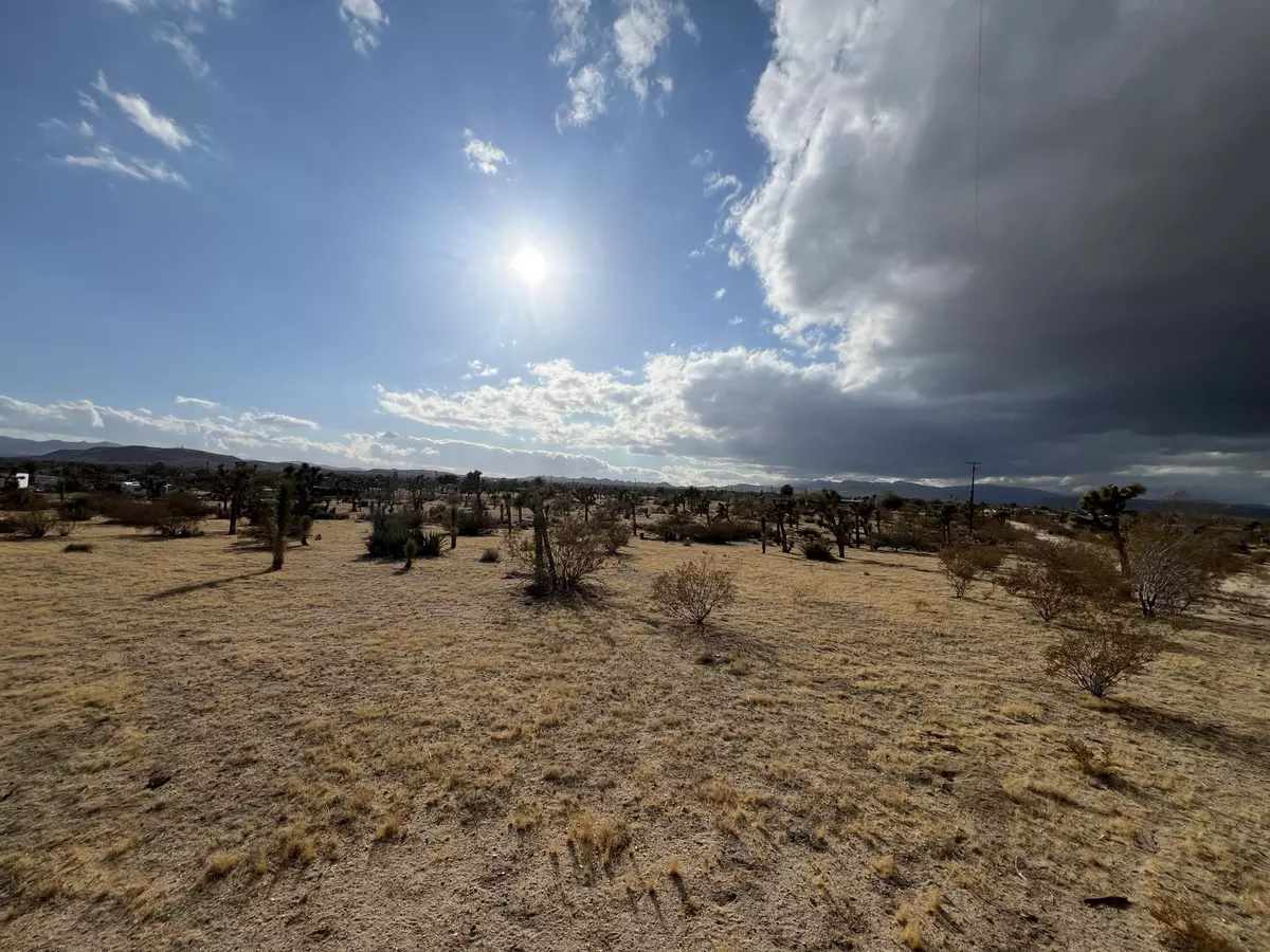 Yucca Valley, CA 92284,0 Campanula ST