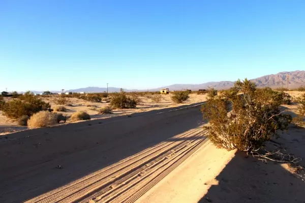 29 Palms, CA 92277,0 Hollywood LN