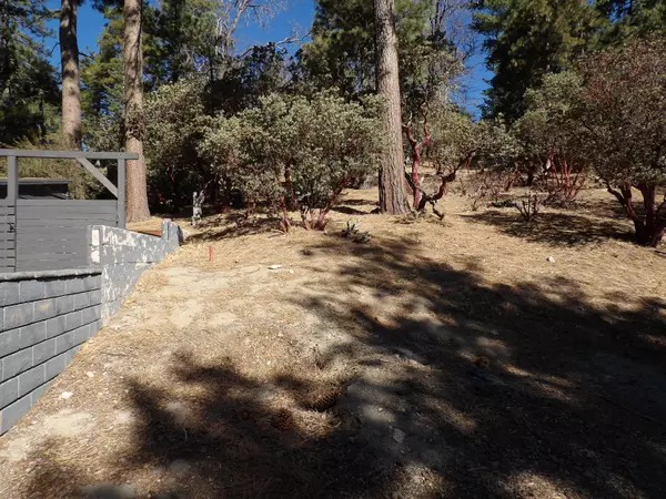 0 Cedar Crest DR, Pine Cove, CA 92549