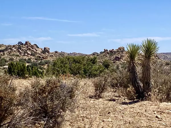 Pioneertown, CA 92268,51001 Geronimo TRL