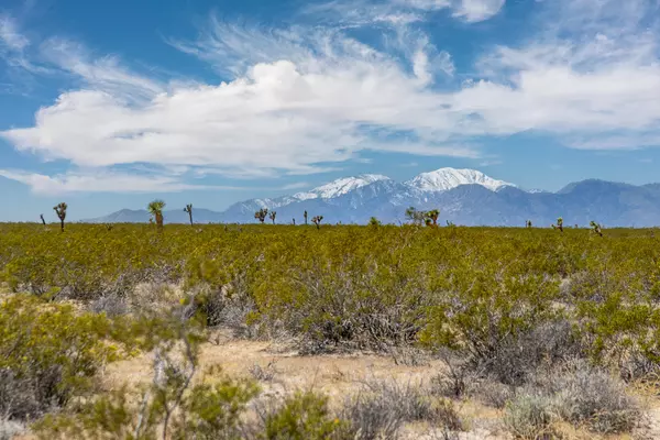 Joshua Tree, CA 92252,3375 Sunset RD