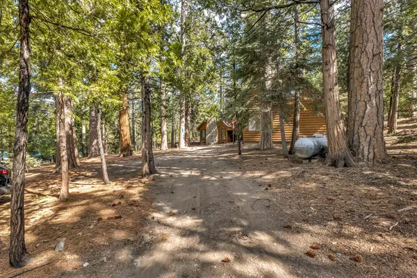 Idyllwild, CA 92549,52831 Laurel Trail