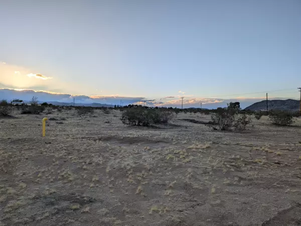 Landers, CA 92285,0 Bellwether