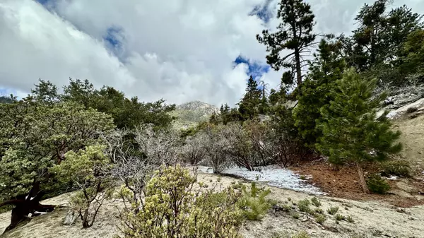 Idyllwild, CA 92549,0 Cougar RD
