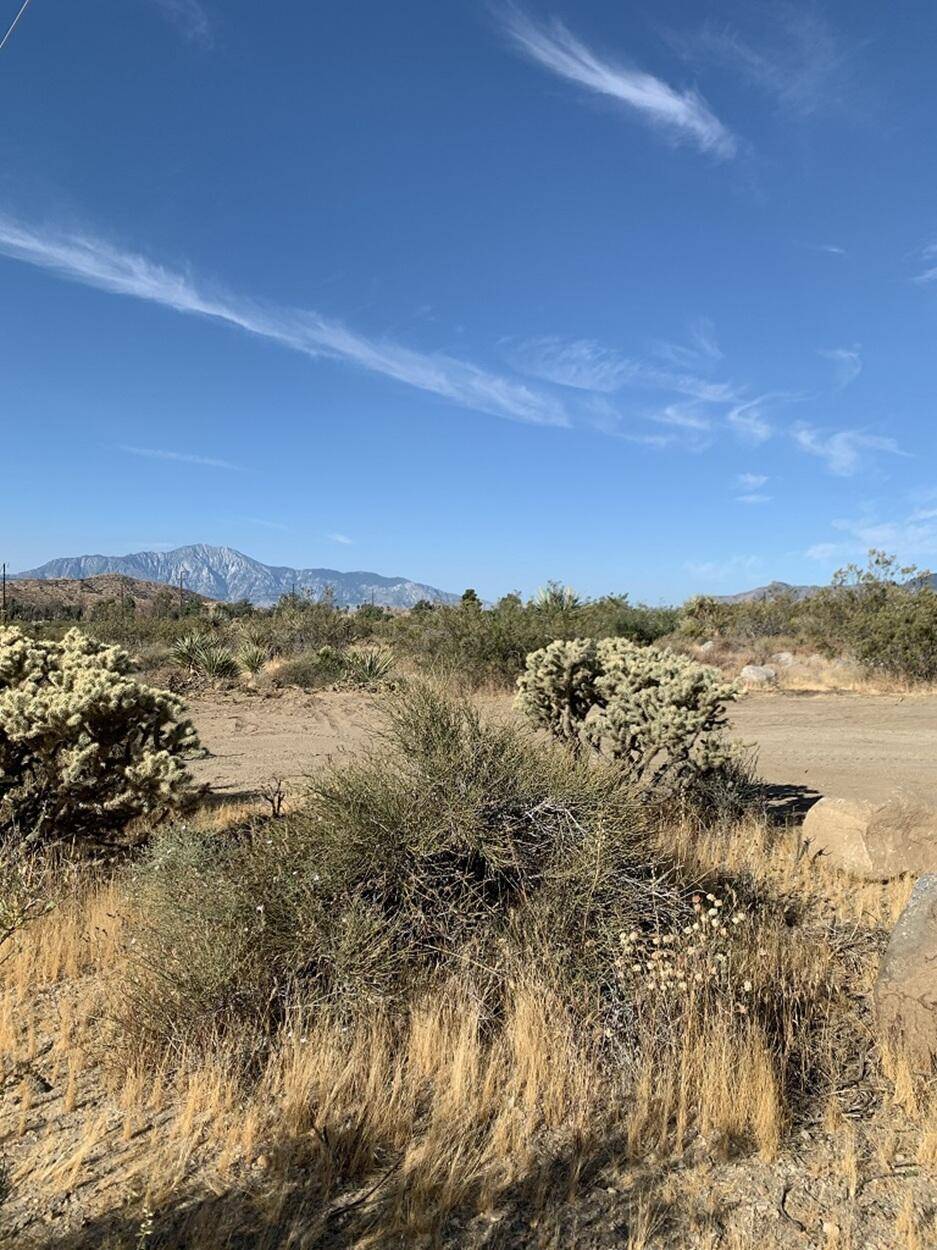 Morongo Valley, CA 92256,9792 Fobes RD