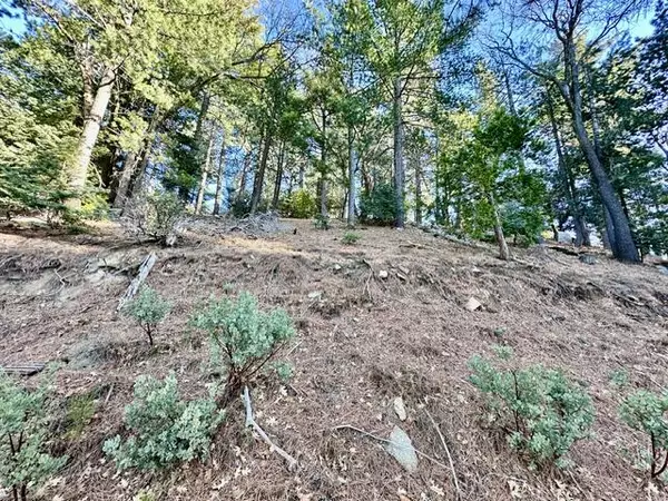Idyllwild, CA 92549,0 Green Craig