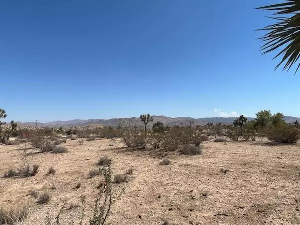 0 Buena Vista DR, Yucca Valley, CA 92284