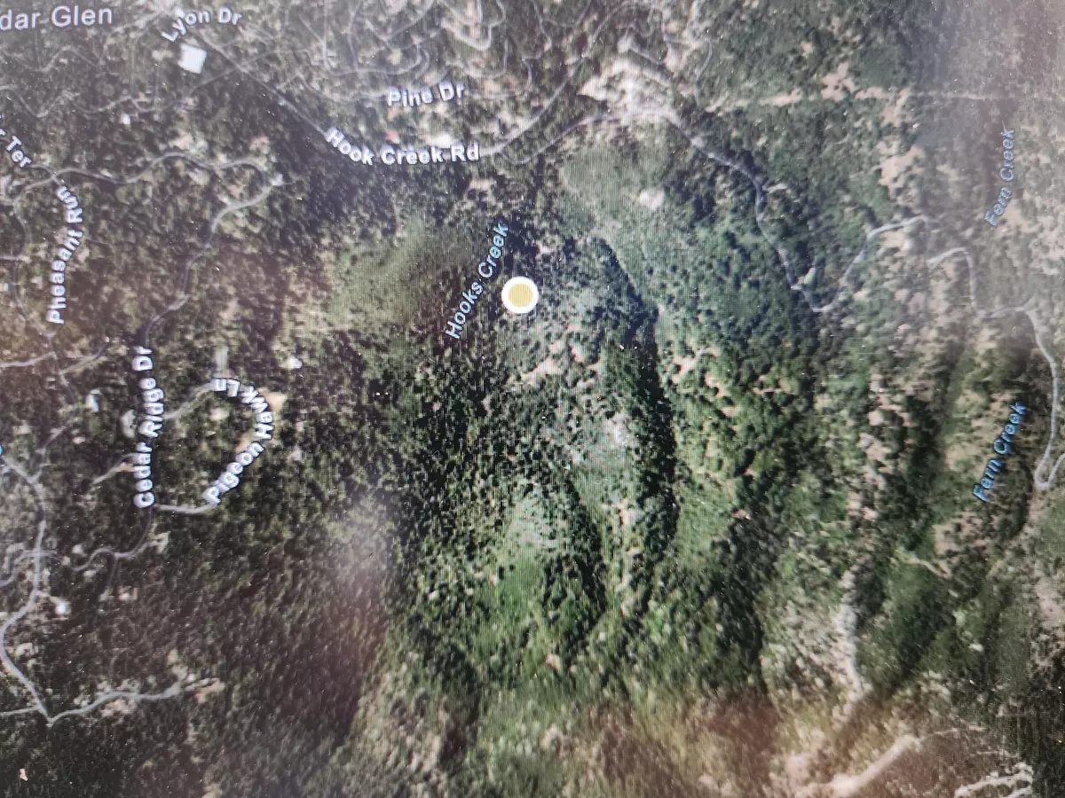 Cedar Glen, CA 92321,0 Hook Creek Rd