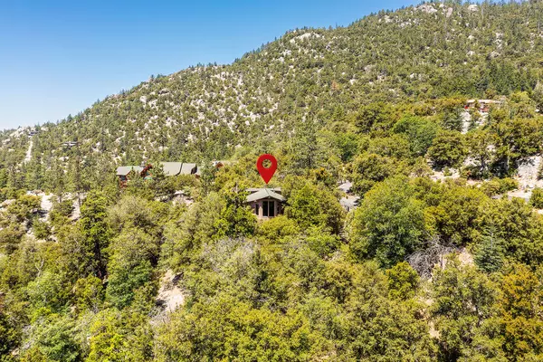 Idyllwild, CA 92549,54950 Forest Haven DR