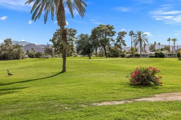 Palm Desert, CA 92211,77235 Minnesota AVE