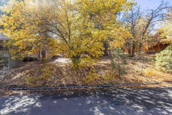 1409 Klamath RD, Big Bear City, CA 92314