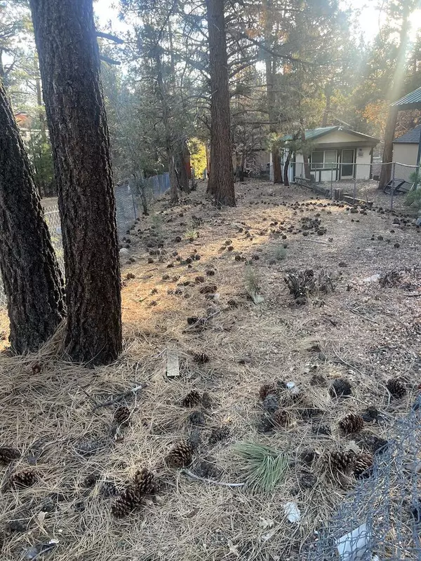 Sugarloaf, CA 92386,569 Victoria AVE