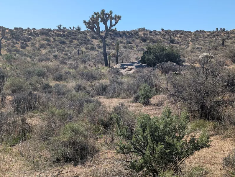 52185 Jalmar RD, Yucca Valley, CA 92284