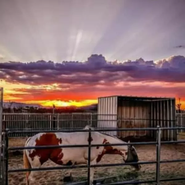 58562 Applegate WAY, Landers, CA 92285