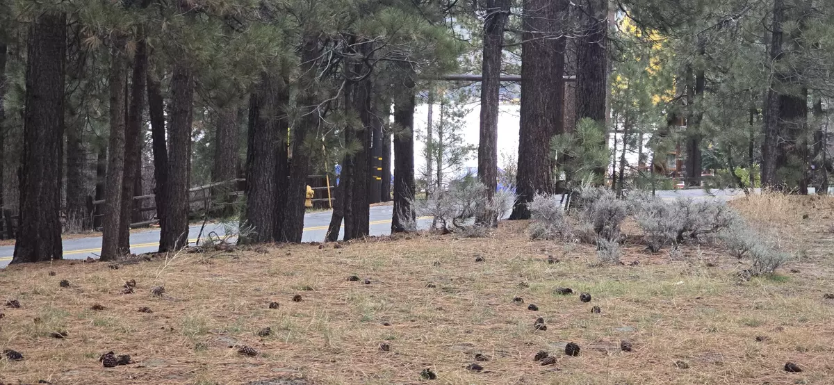 Big Bear Lake, CA 92315,39731 Lakeview