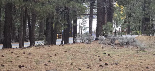 39731 Lakeview, Big Bear Lake, CA 92315