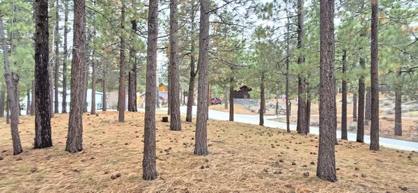 Big Bear Lake, CA 92315,39731 Lakeview