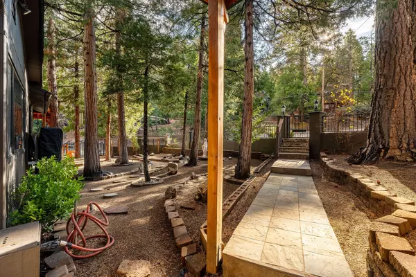 Idyllwild, CA 92549,25255 Nestwa TRL