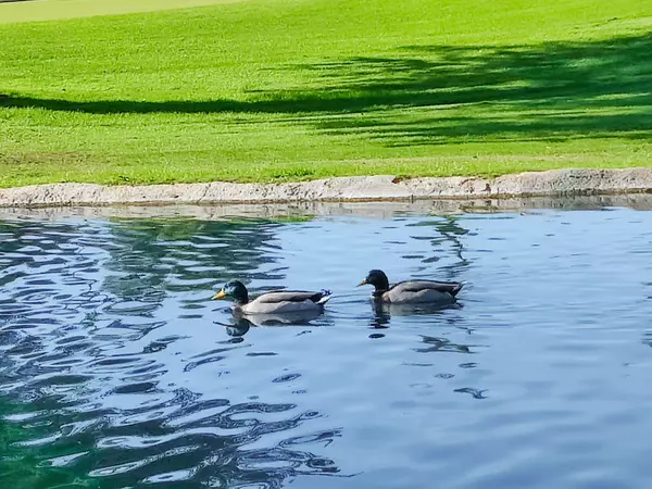 Indio, CA 92201,49211 Douglas ST