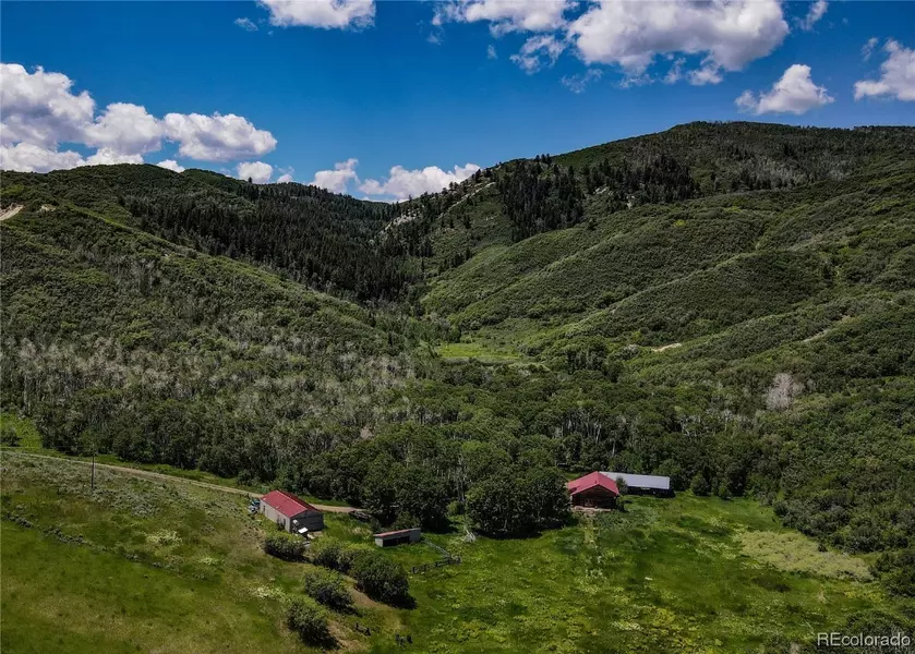 19345 Raptor Road, Hayden, CO 81639