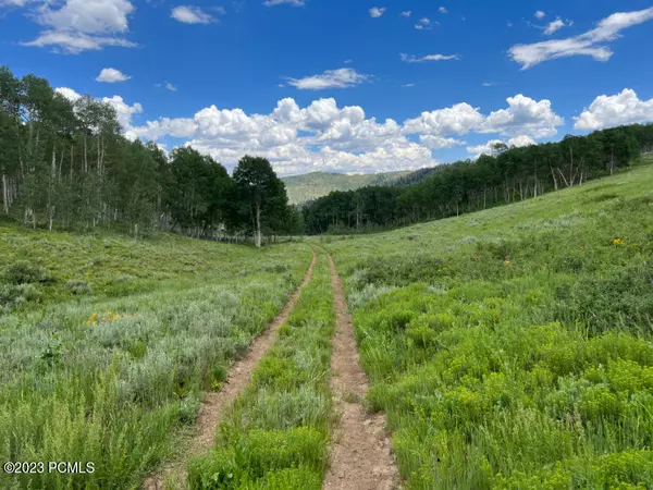 Fairview, UT 84629,Forest Service Road