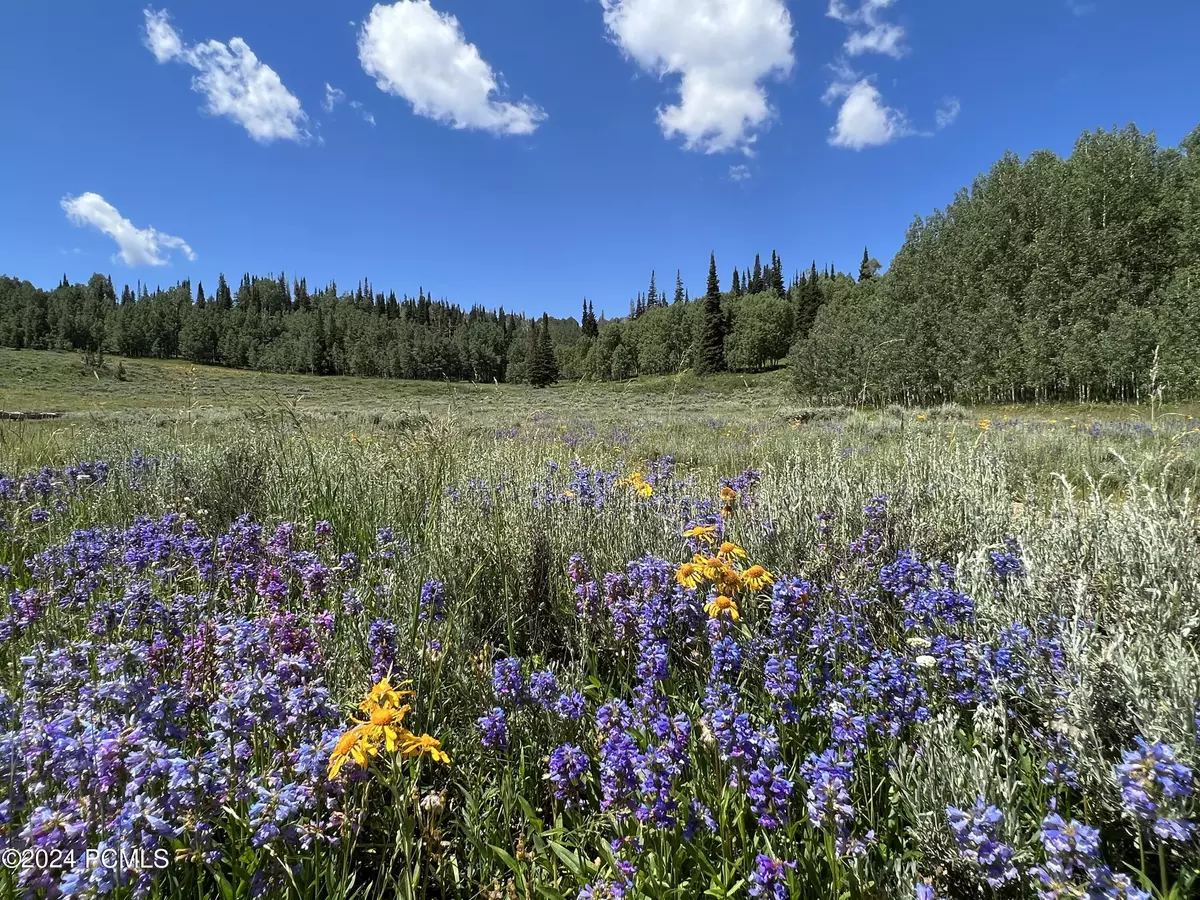 Fairview, UT 84629,Forest Road