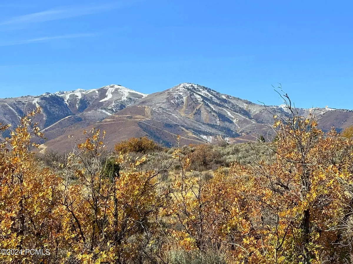 Kamas, UT 84036,8461 N Backcast Cir