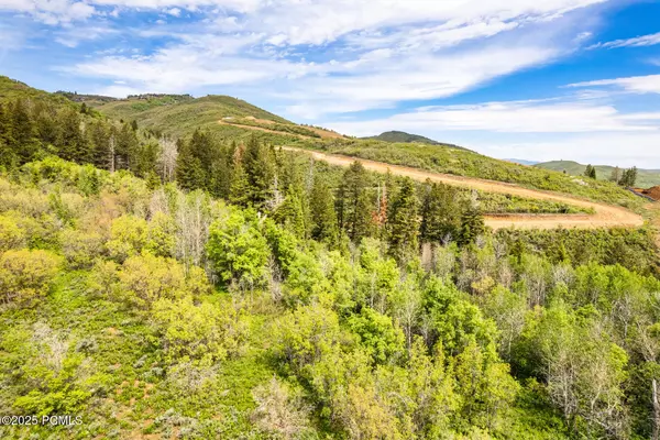 Park City, UT 84060,2347 W Treeline Ct