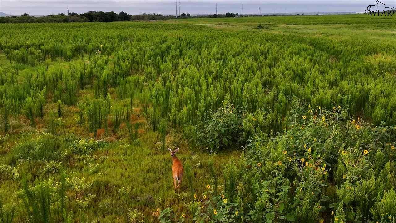 TBD HWY 287, Quanah, TX 79252