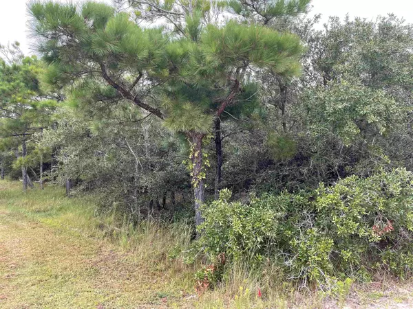 Corolla, NC 27927,1960 Ocean Pearl Road #Lot #135