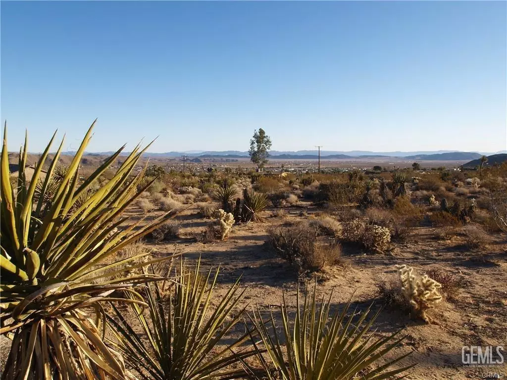 Joshua Tree, CA 92252,7275 Saddleback Road