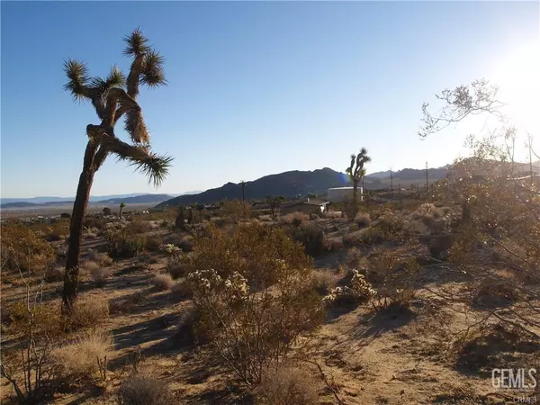 Joshua Tree, CA 92252,7275 Saddleback Road