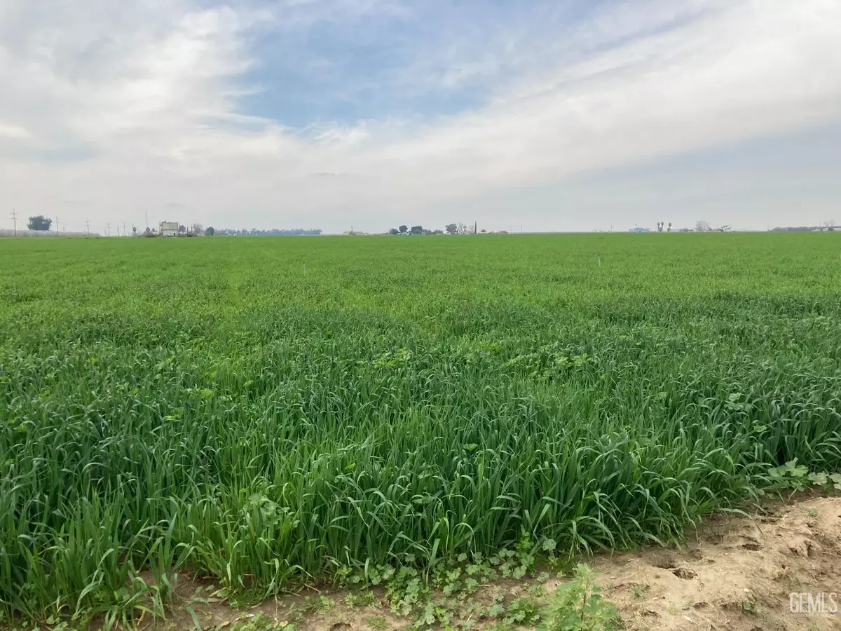 Arvin, CA 93203,14141 Comanche Drive