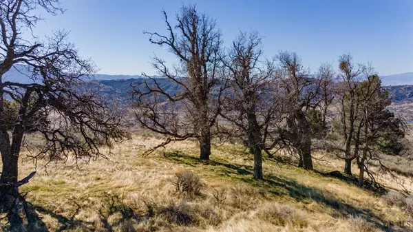 Tehachapi, CA 93561,24910 Paramount Drive