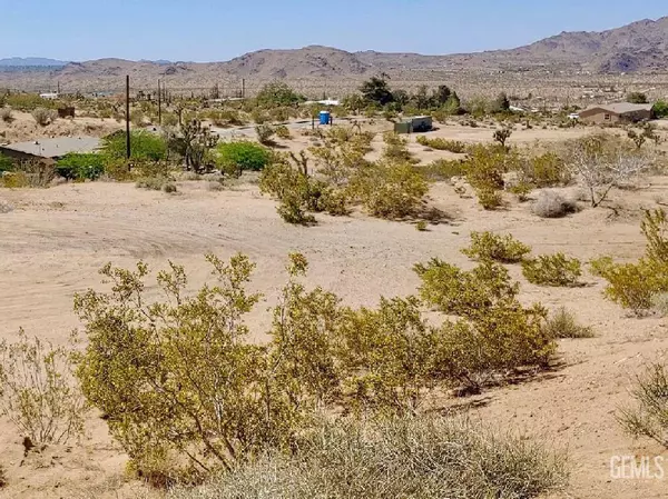 Joshua Tree, CA 92252,0 Sunnyhill Road