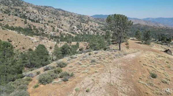 Caliente, CA 93518,0 Piute Mtn Rd, Lot 43